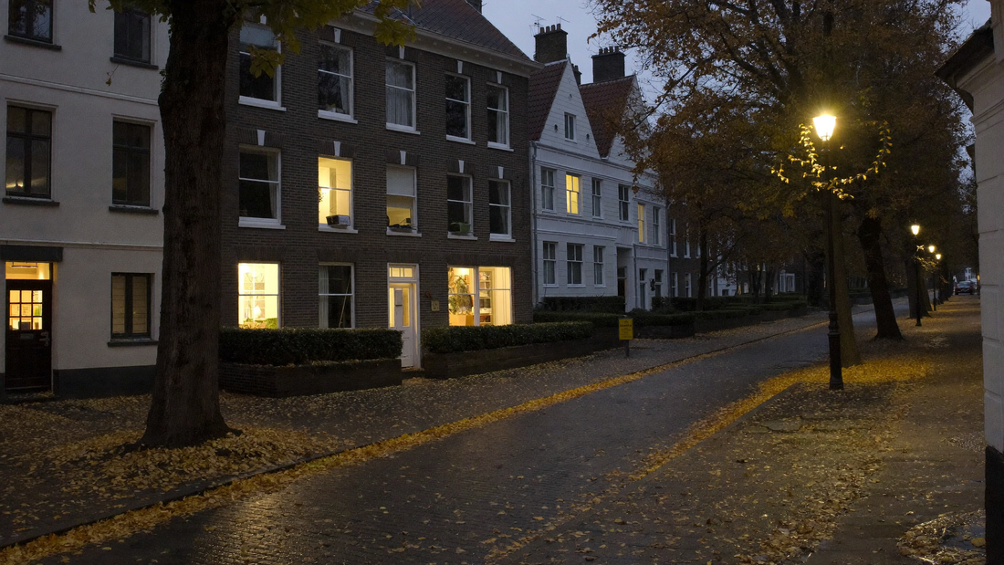 Nederlandse straat in de schemering met natte bladeren op de stoep en de straatlantaarns aan