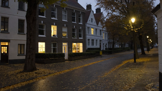 Nederlandse straat in de schemering met natte bladeren op de stoep en de straatlantaarns aan